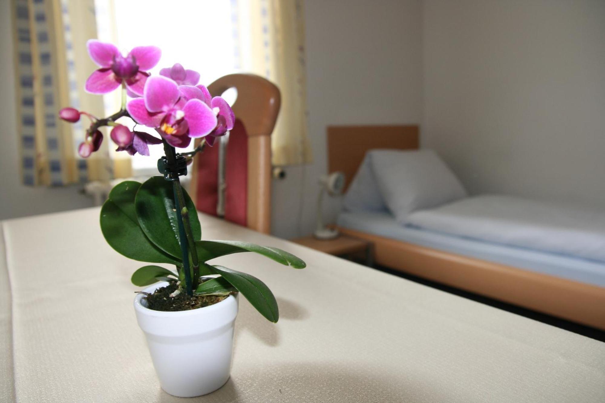 Hotel Glaernisch Hof Horgen Bagian luar foto